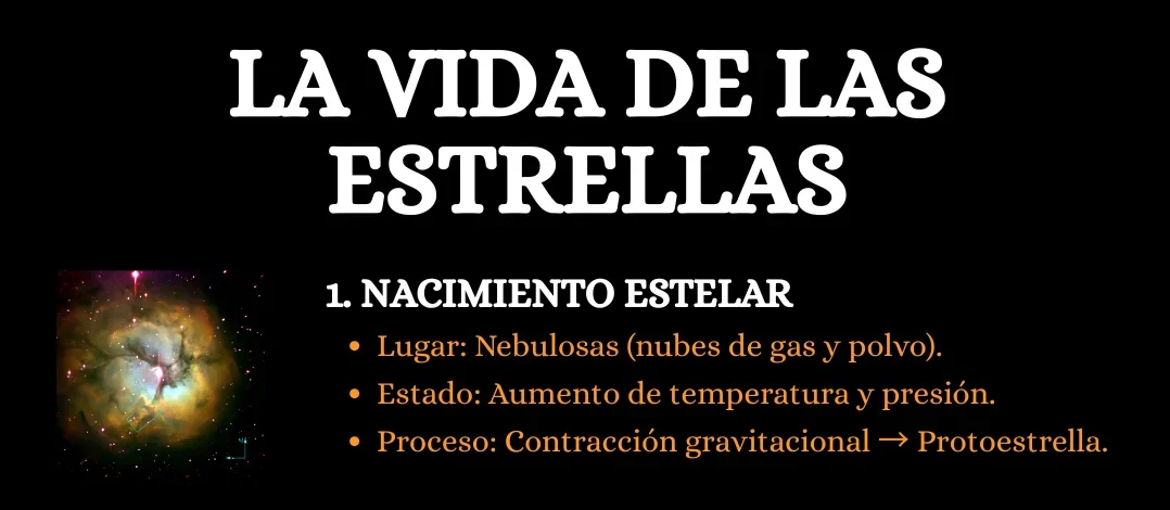 La vida de las estrellas